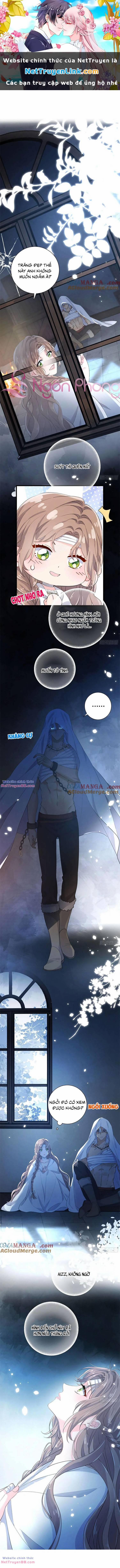 Trăng Tròn Chia Hoan 18 trang 0