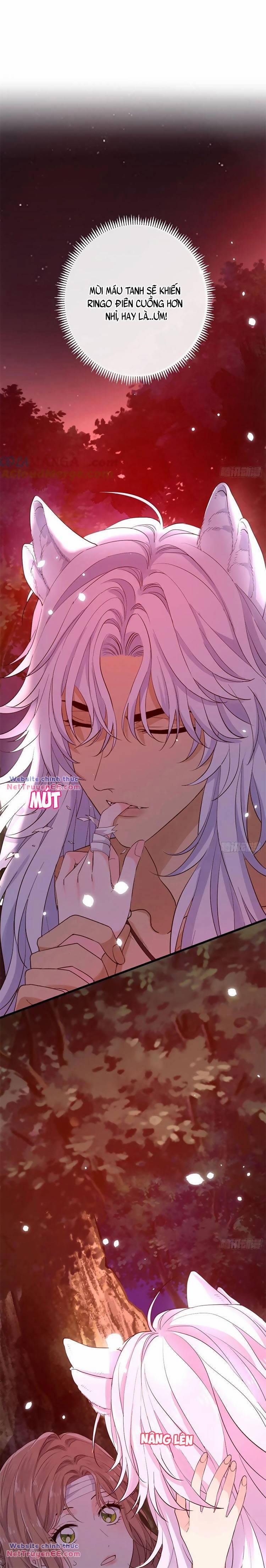 Trăng Tròn Chia Hoan 20 trang 4