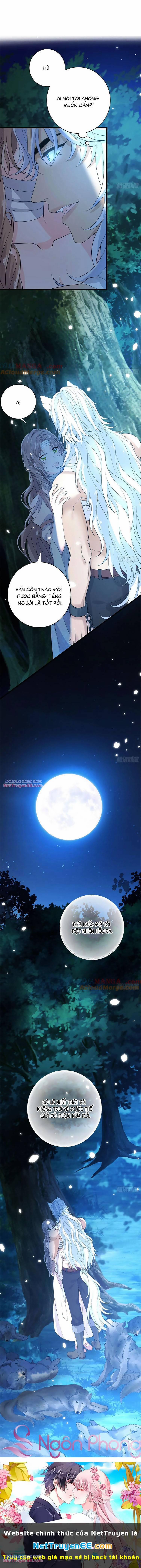 Trăng Tròn Chia Hoan 20 trang 6