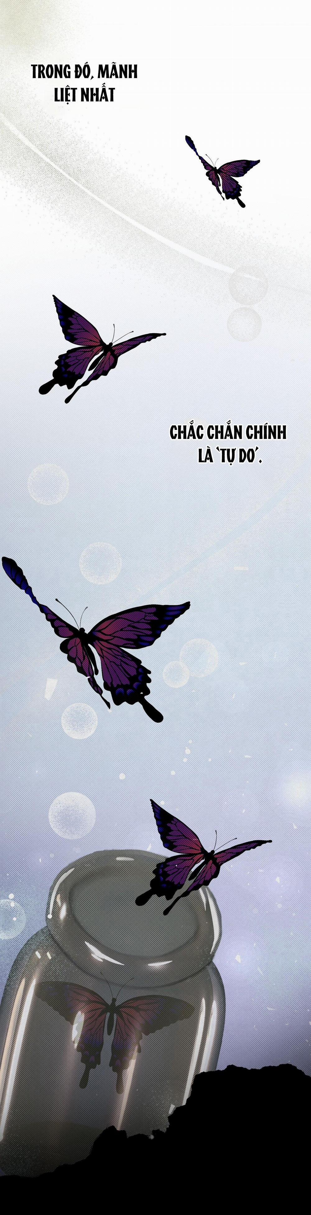 TRANH VẼ 7 trang 1