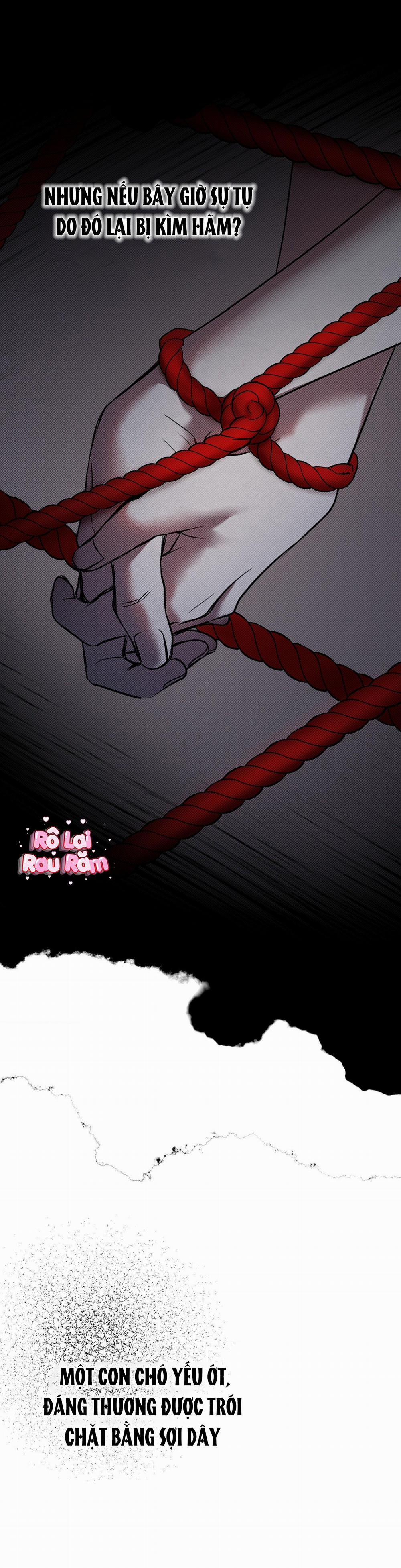 TRANH VẼ 7 trang 2