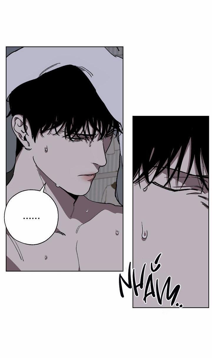 Tráo Đổi 12 trang 47