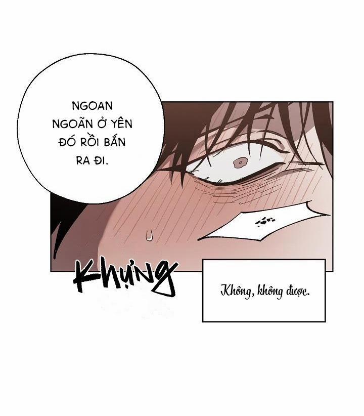 Tráo Đổi 28 trang 8