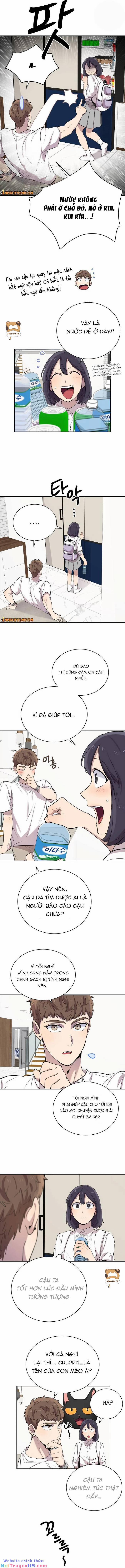 Trên Đời Này Không Có Ai Ngu Ngốc Như Thế 16 trang 11