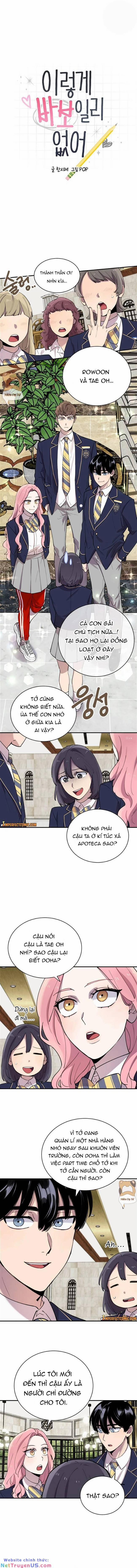 Trên Đời Này Không Có Ai Ngu Ngốc Như Thế 19 trang 0