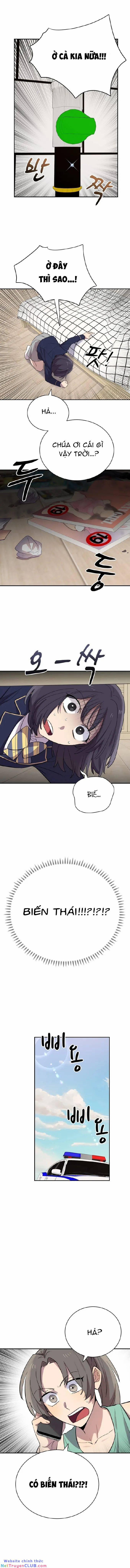 Trên Đời Này Không Có Ai Ngu Ngốc Như Thế 23 trang 3