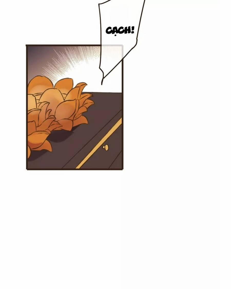 Trên Trời Rớt Xuống Một Hòa Thượng Ngốc 50 trang 5