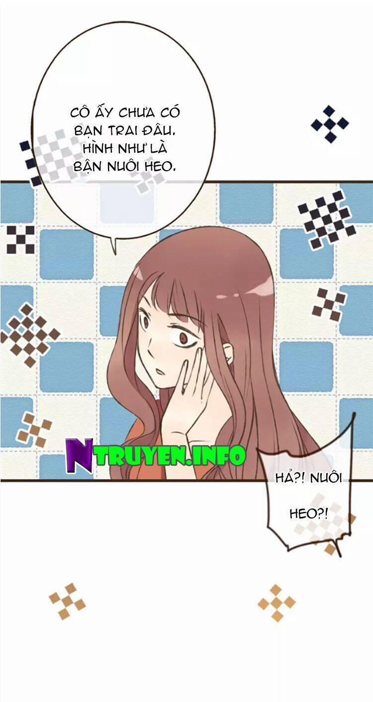 Trên Trời Rớt Xuống Một Hòa Thượng Ngốc 59 trang 5