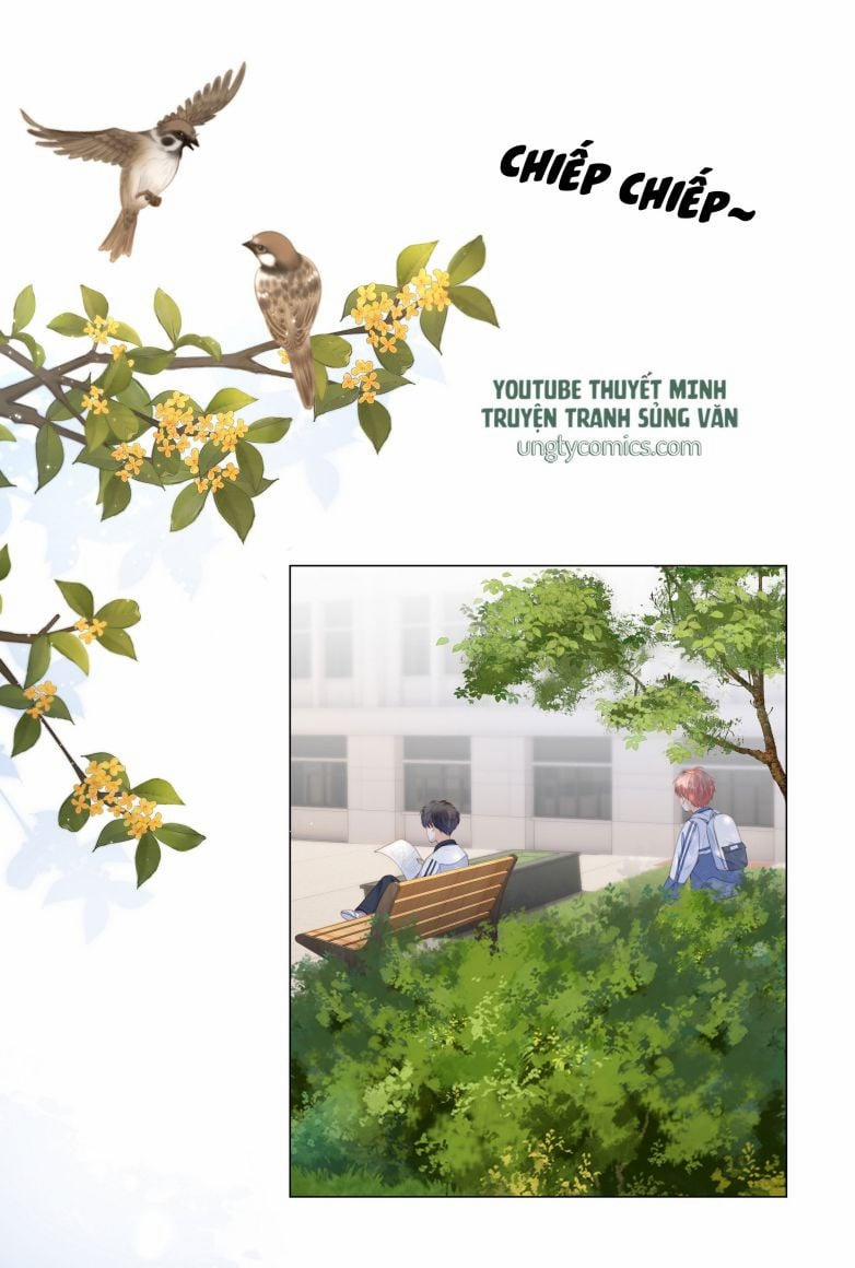 Tri Bỉ 10 trang 16