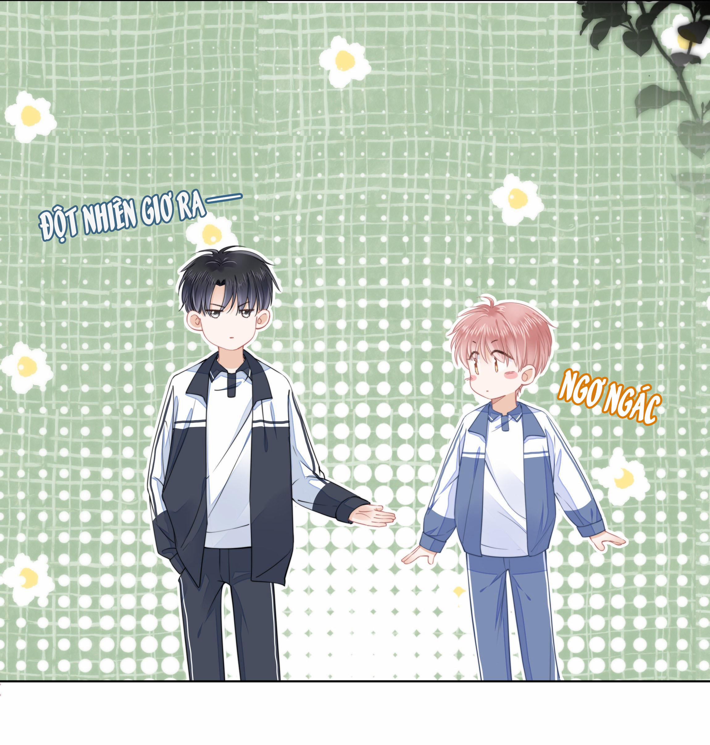 Tri Bỉ 12 trang 12