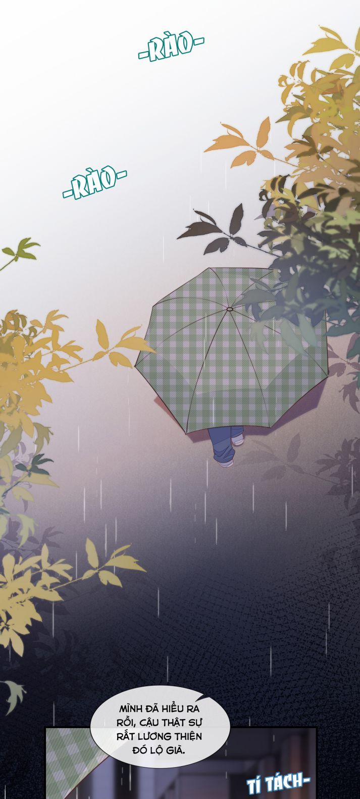 Tri Bỉ 16 trang 5