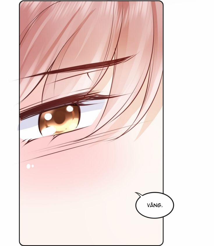 Tri Bỉ 54 trang 19