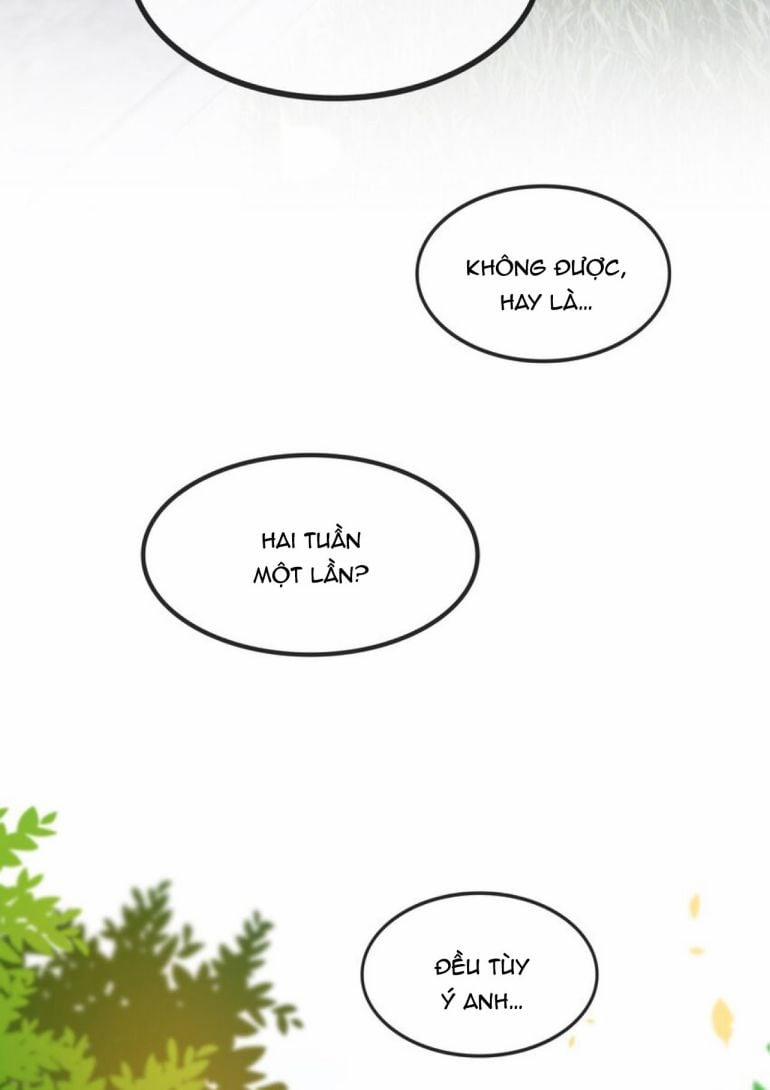 Tri Bỉ 72 trang 11