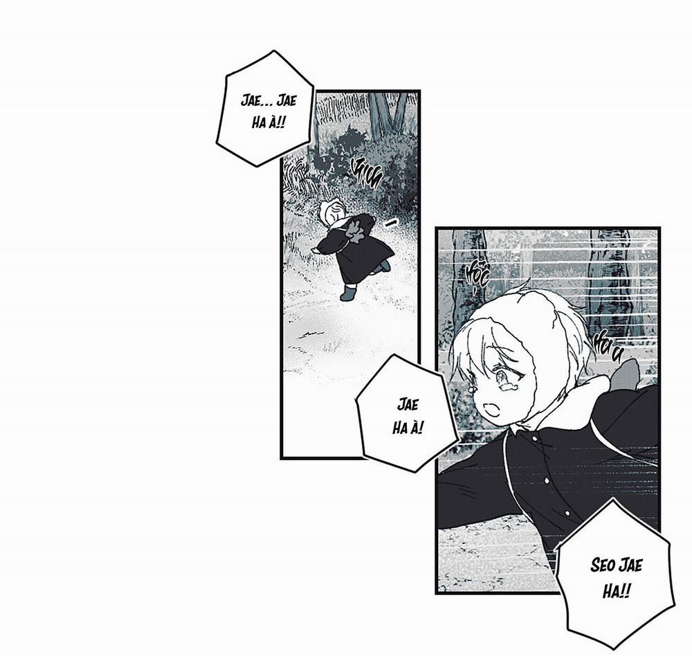 Triangle And Circle 3 trang 43