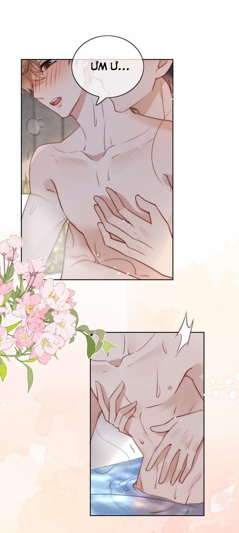 Trích Tinh 35 trang 19