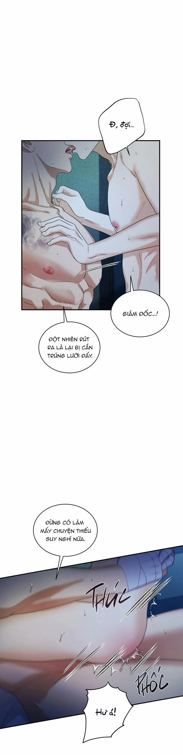 Trigger Bl 15.5 trang 6