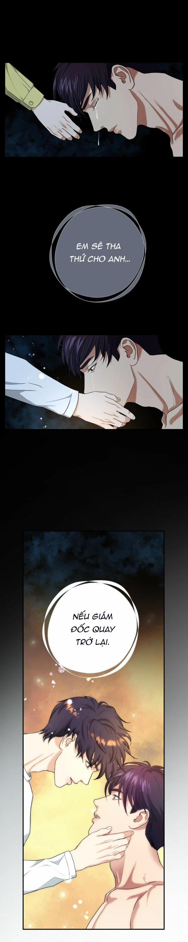 Trigger Bl 15 trang 12