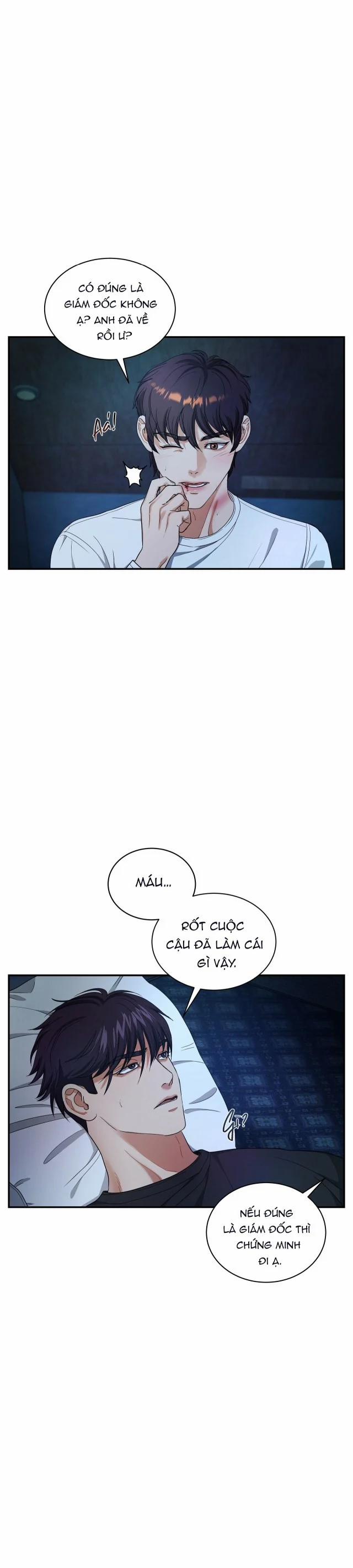 Trigger Bl 15 trang 17