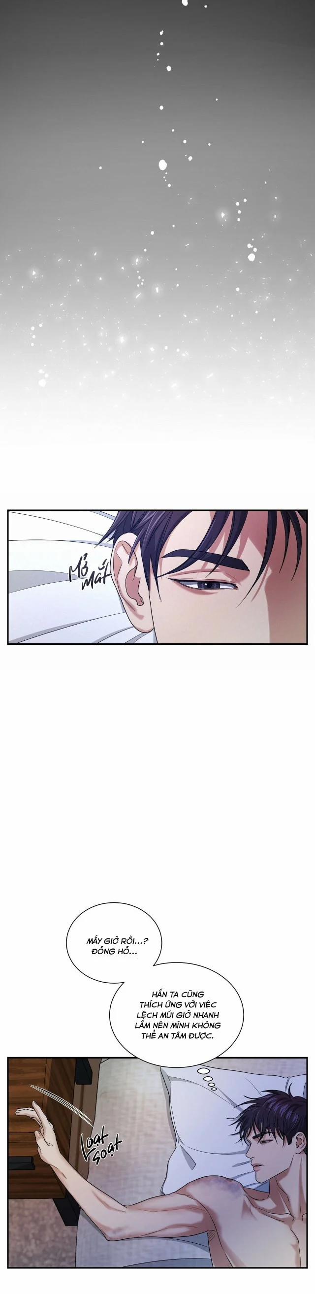 Trigger Bl 17.5 trang 0