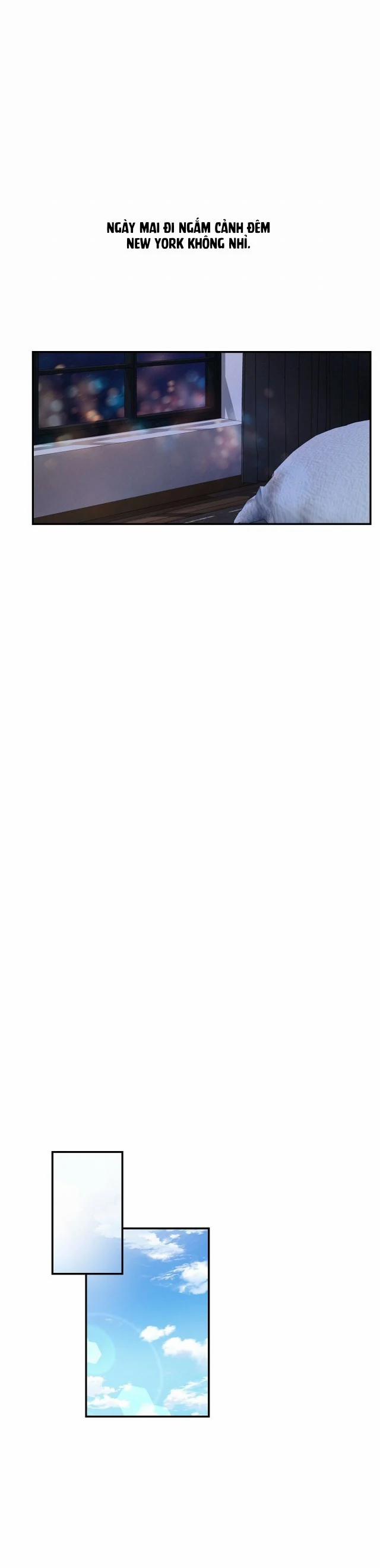 Trigger Bl 17.5 trang 4