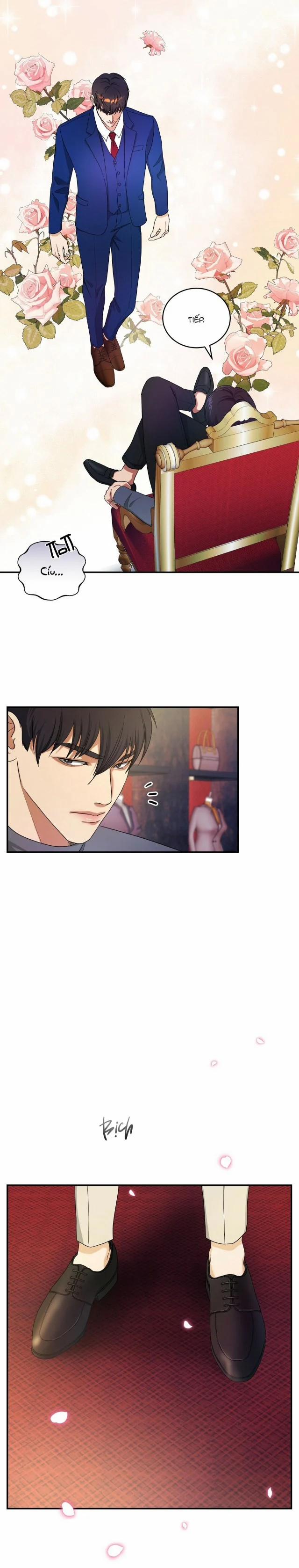 Trigger Bl 19.5 trang 4