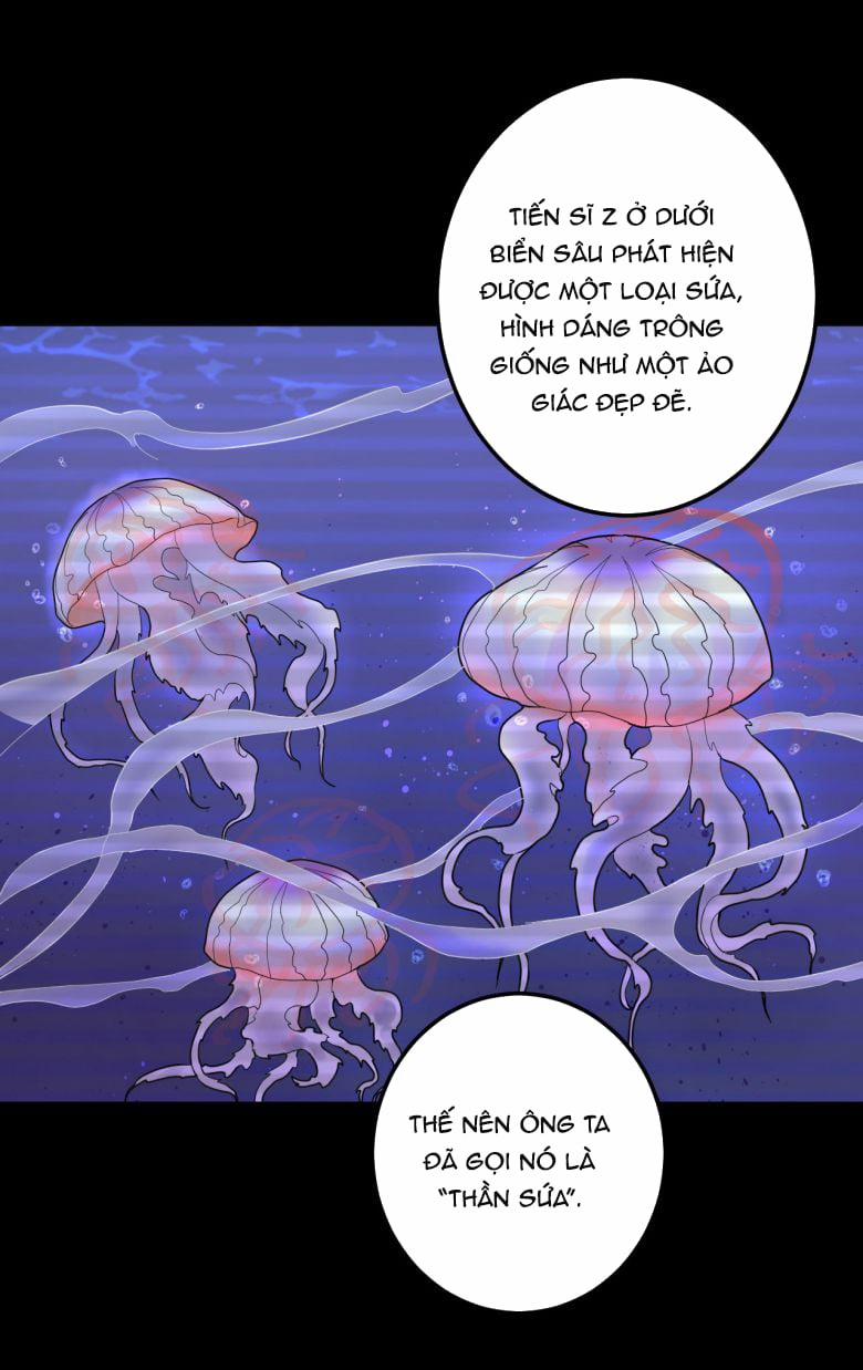 Trò Chơi Đảo Sinh 9 trang 15