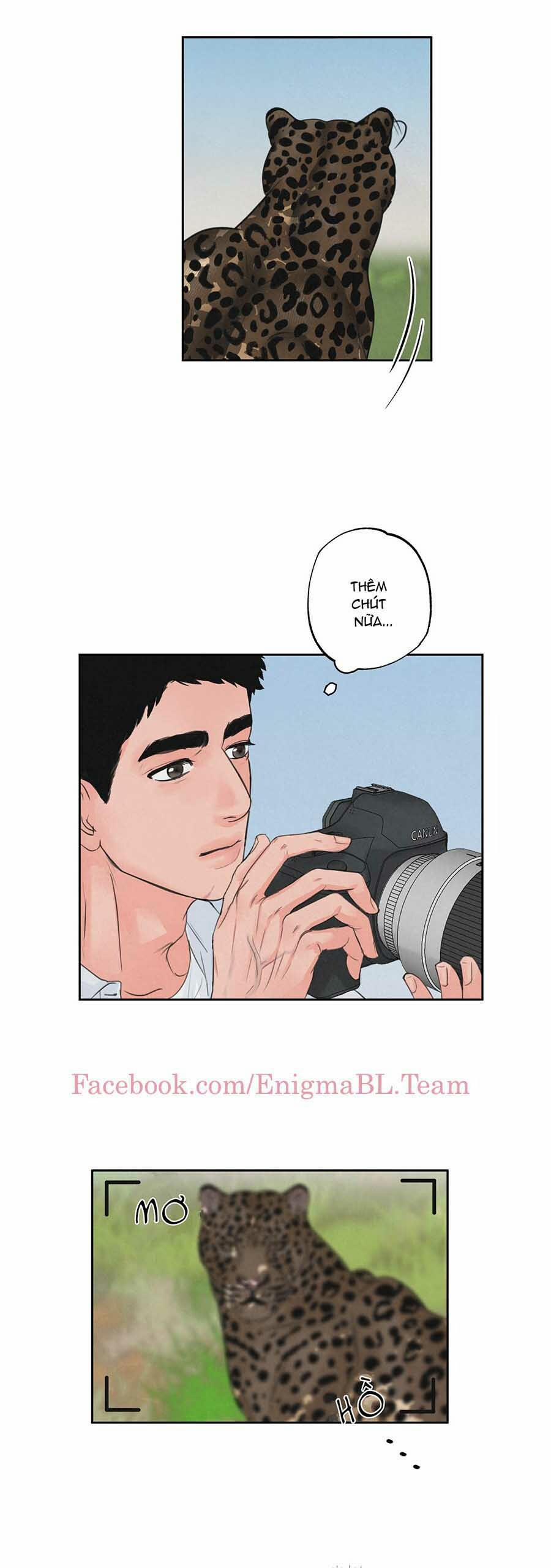 Trò Chơi Safari 1 trang 1