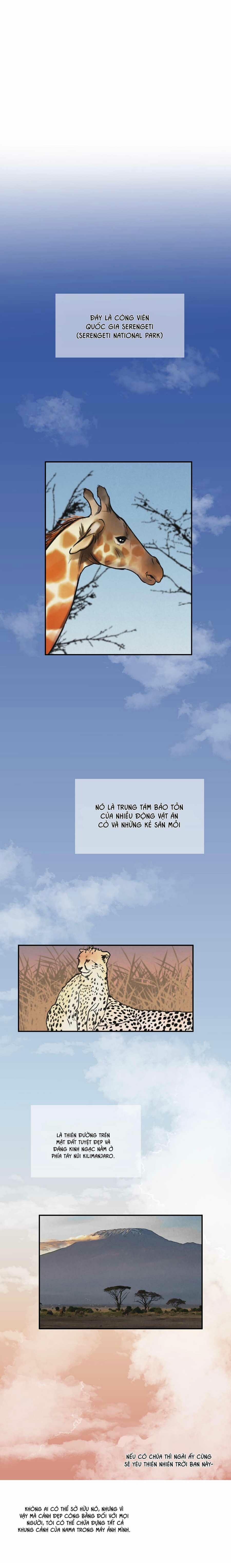 Trò Chơi Safari 1 trang 6