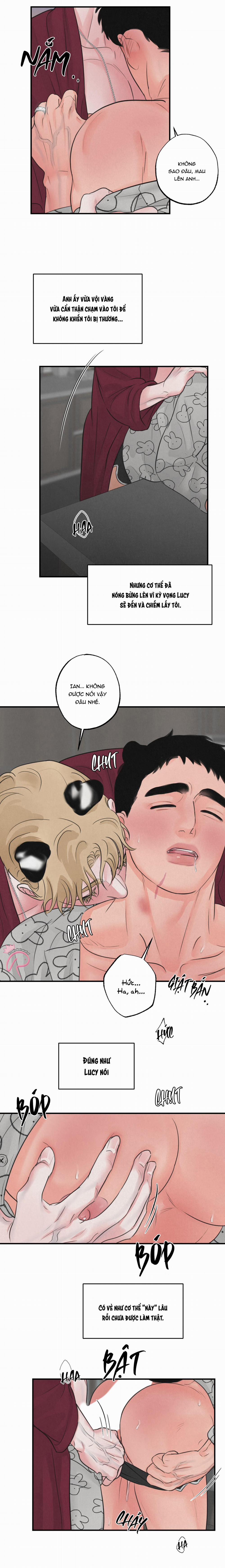 Trò Chơi Safari 11 trang 8