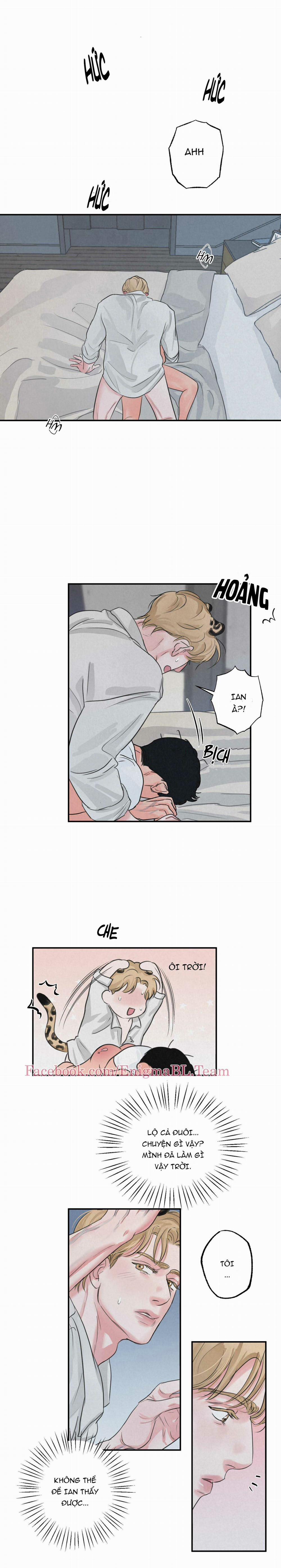 Trò Chơi Safari 3 trang 11