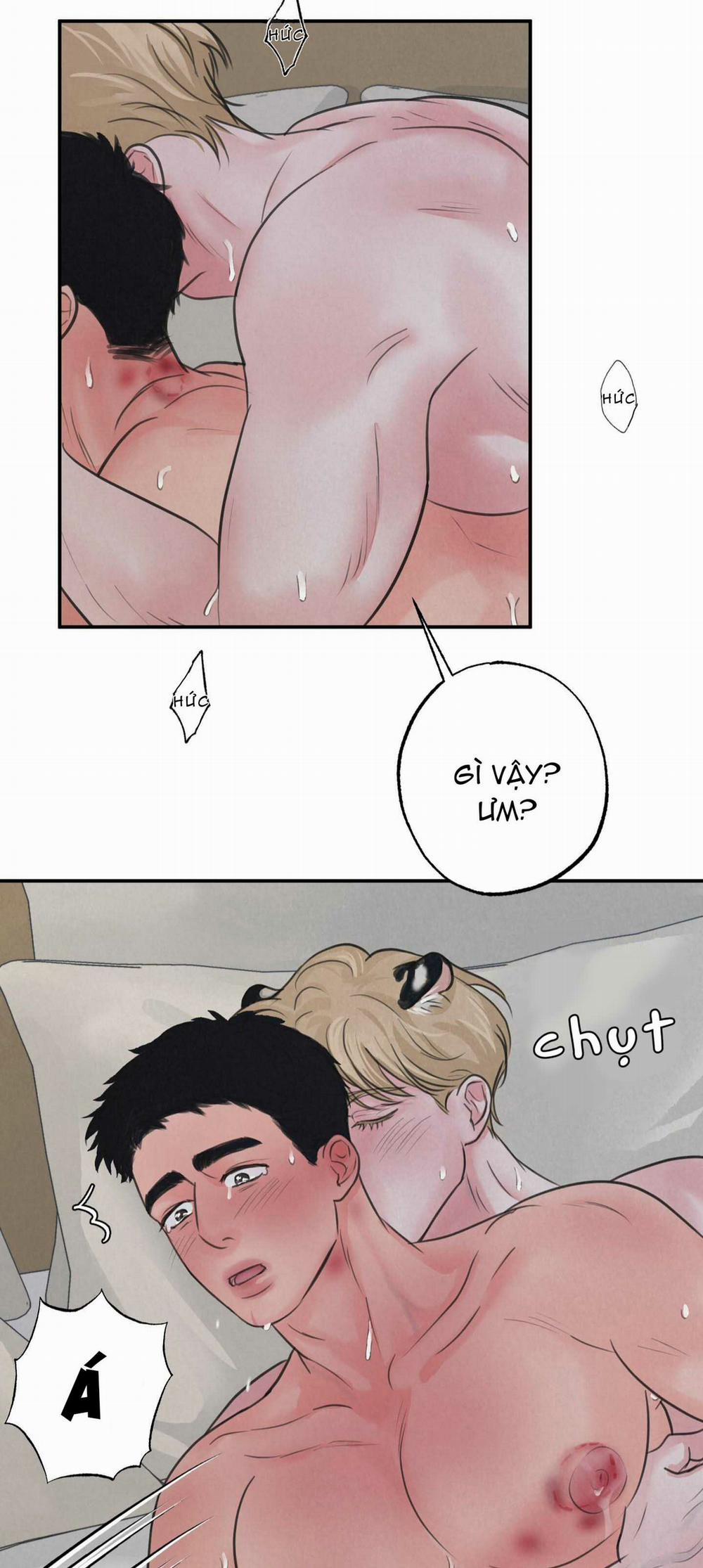 Trò Chơi Safari 4 trang 14