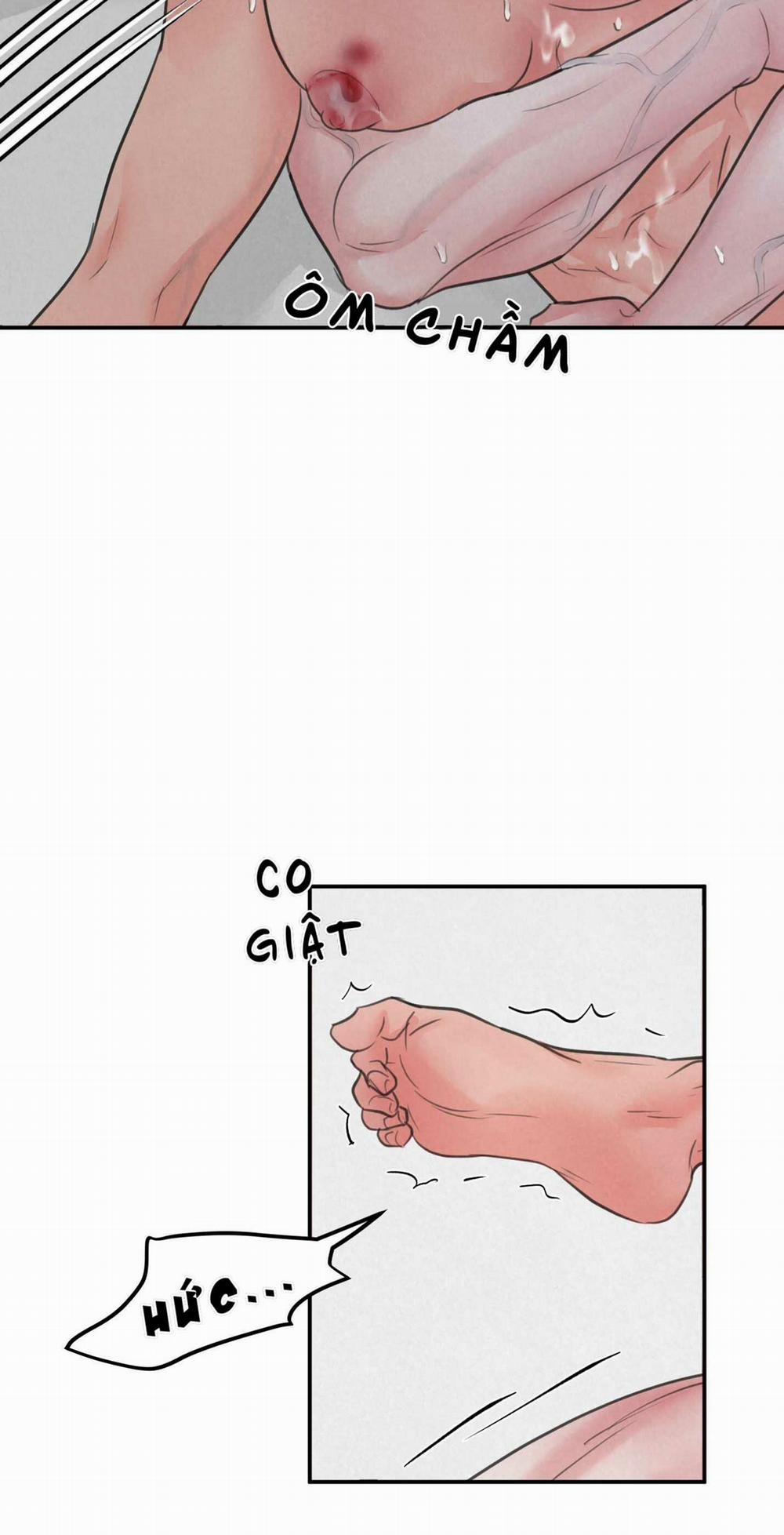 Trò Chơi Safari 4 trang 15