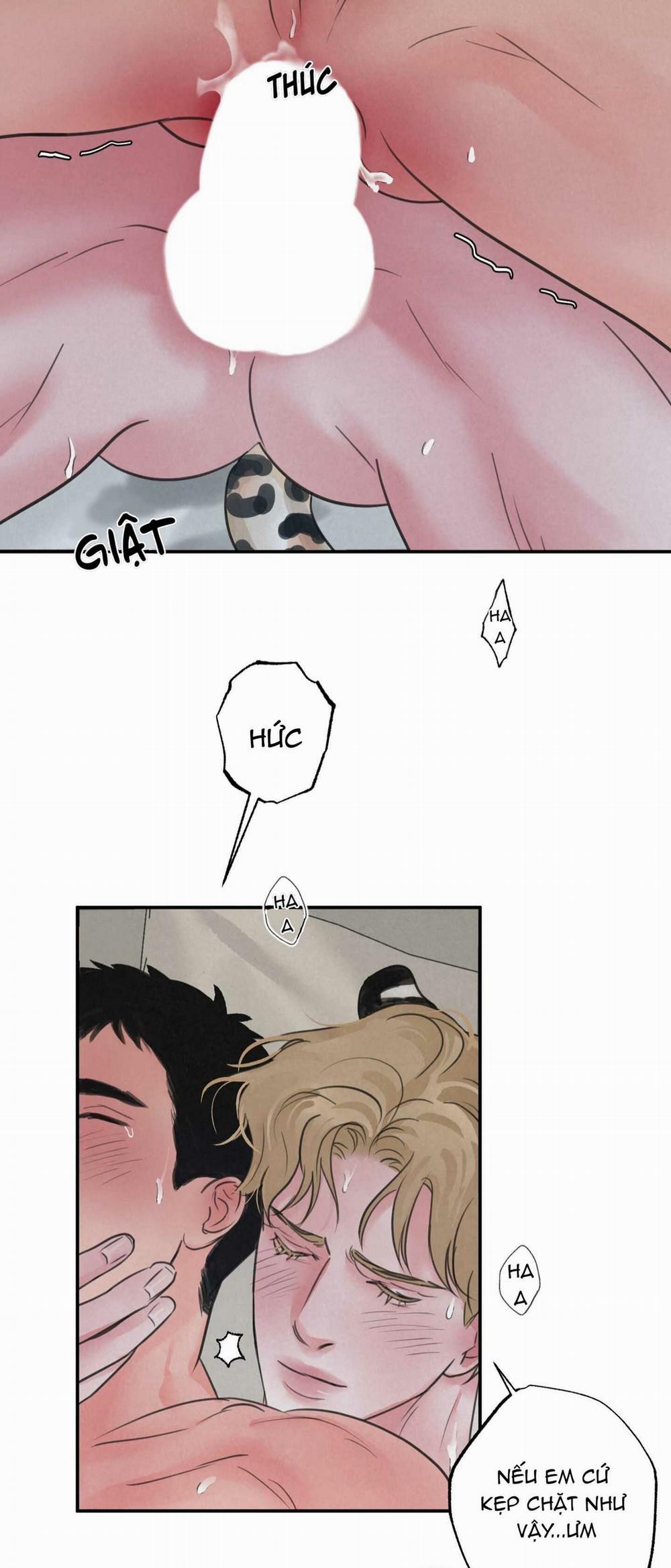 Trò Chơi Safari 4 trang 17