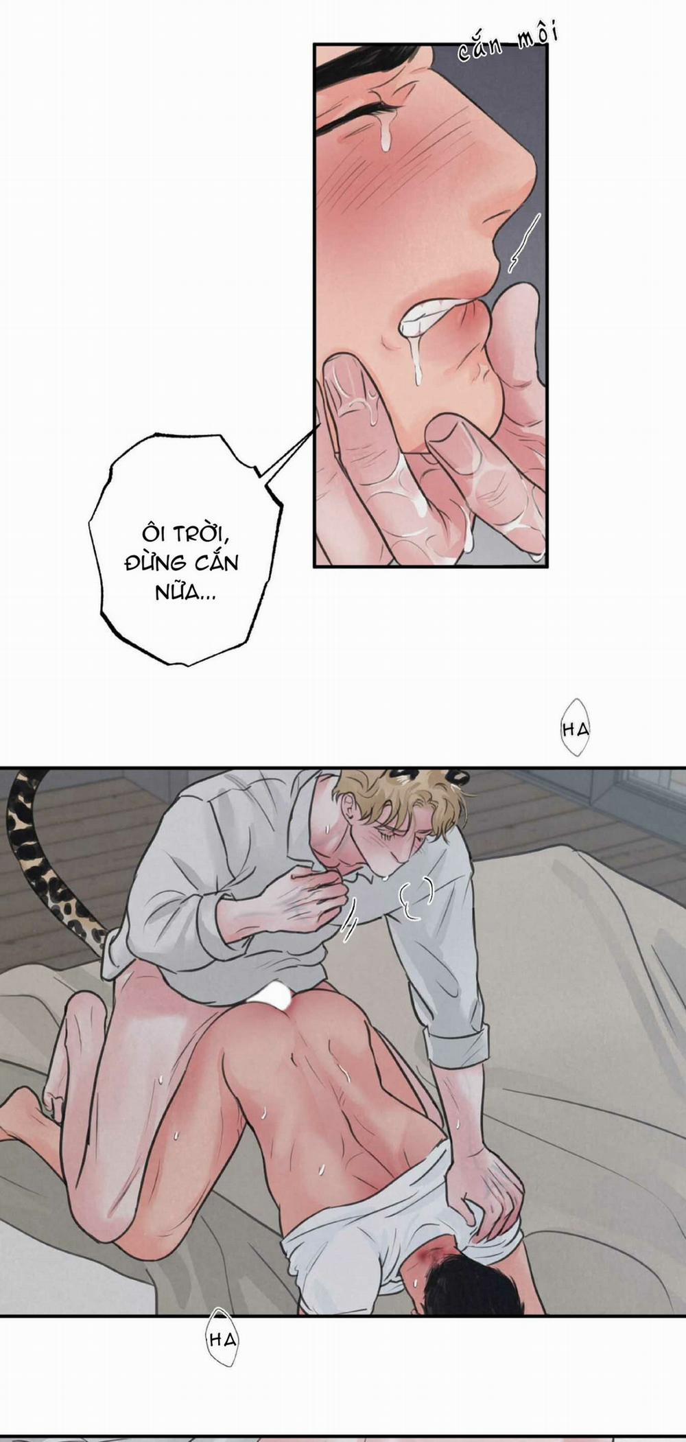 Trò Chơi Safari 4 trang 2