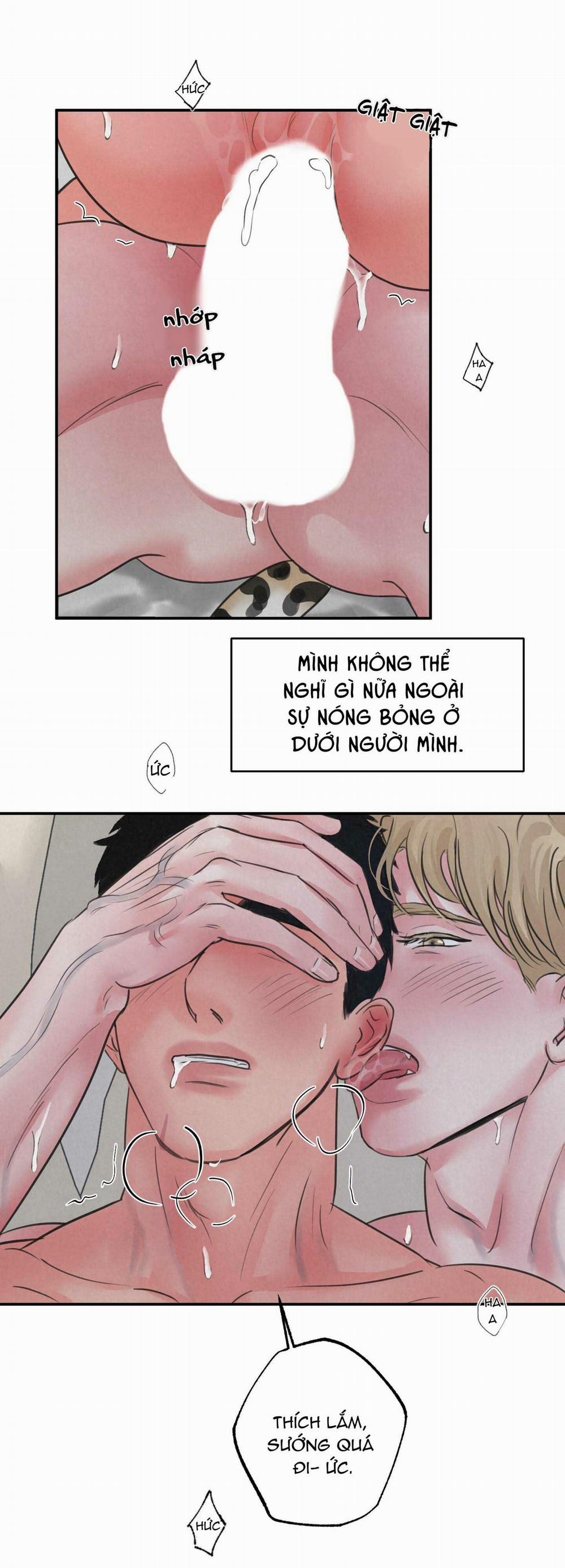 Trò Chơi Safari 4 trang 22