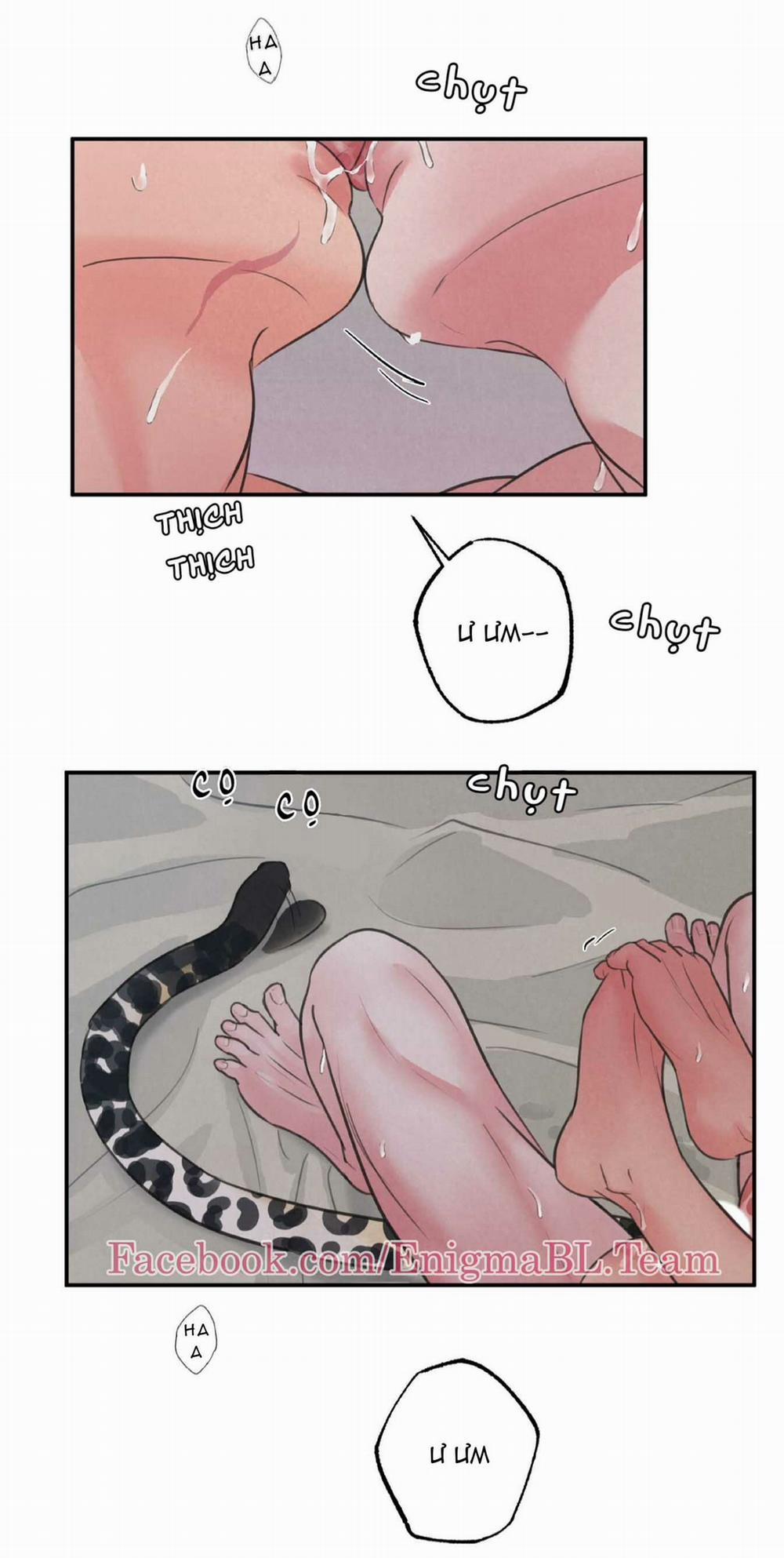 Trò Chơi Safari 4 trang 23