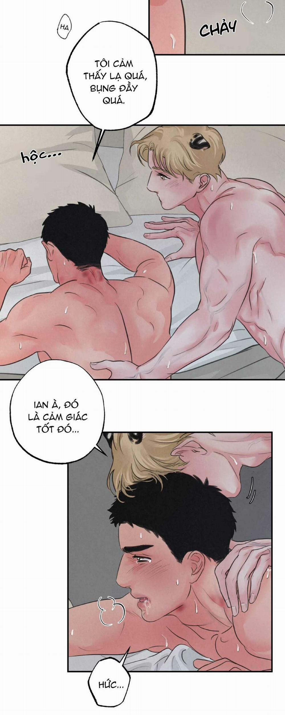 Trò Chơi Safari 4 trang 28