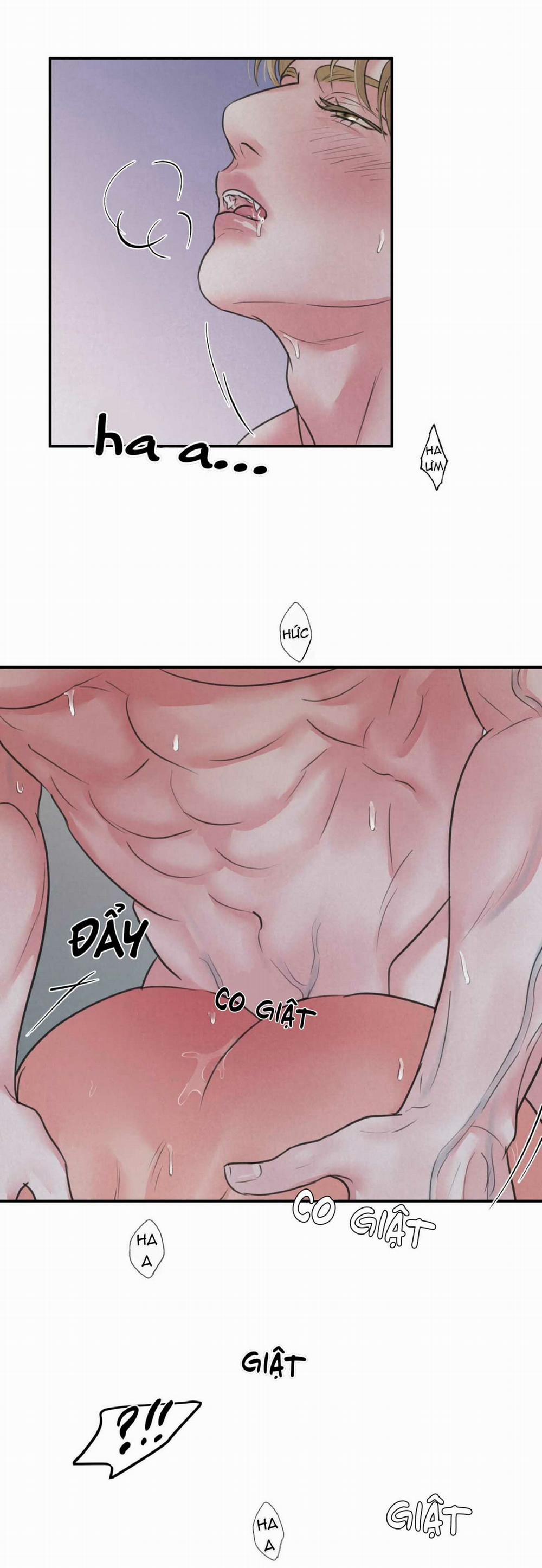 Trò Chơi Safari 4 trang 32