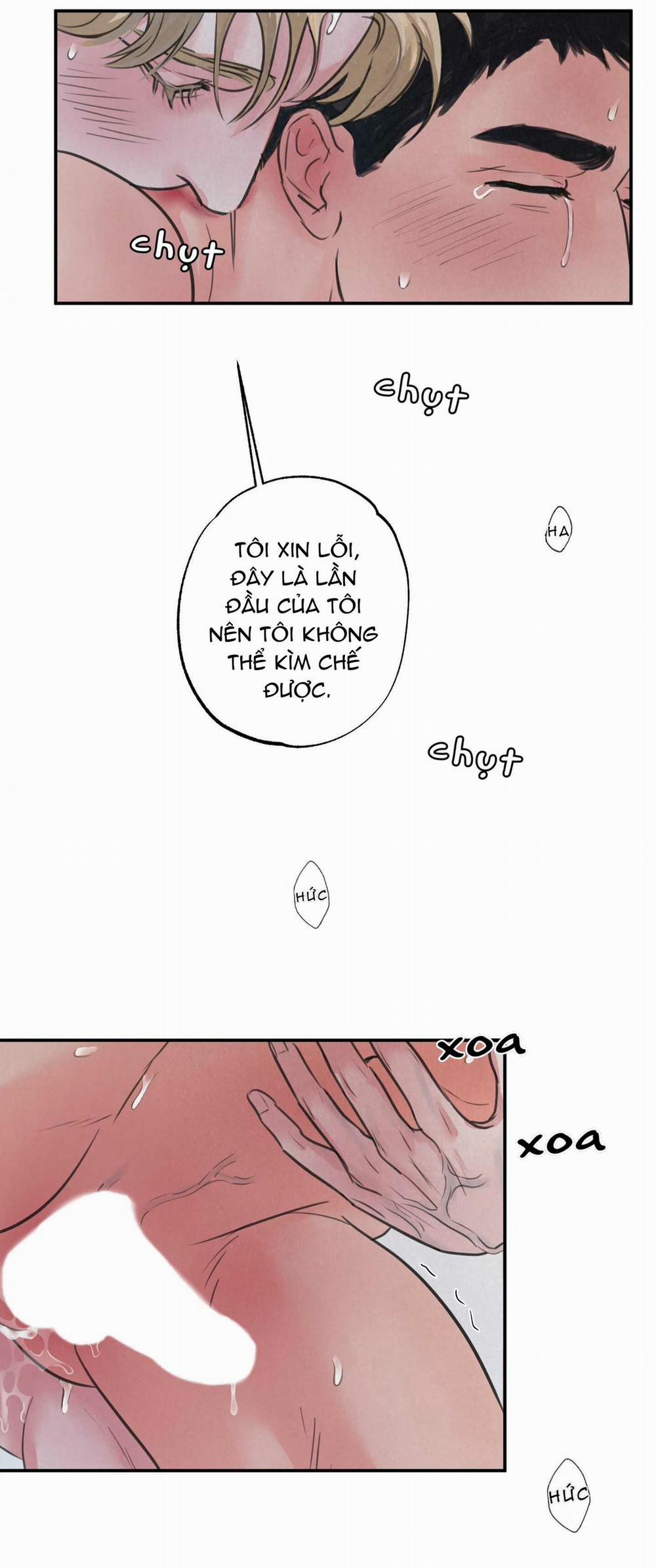 Trò Chơi Safari 4 trang 36