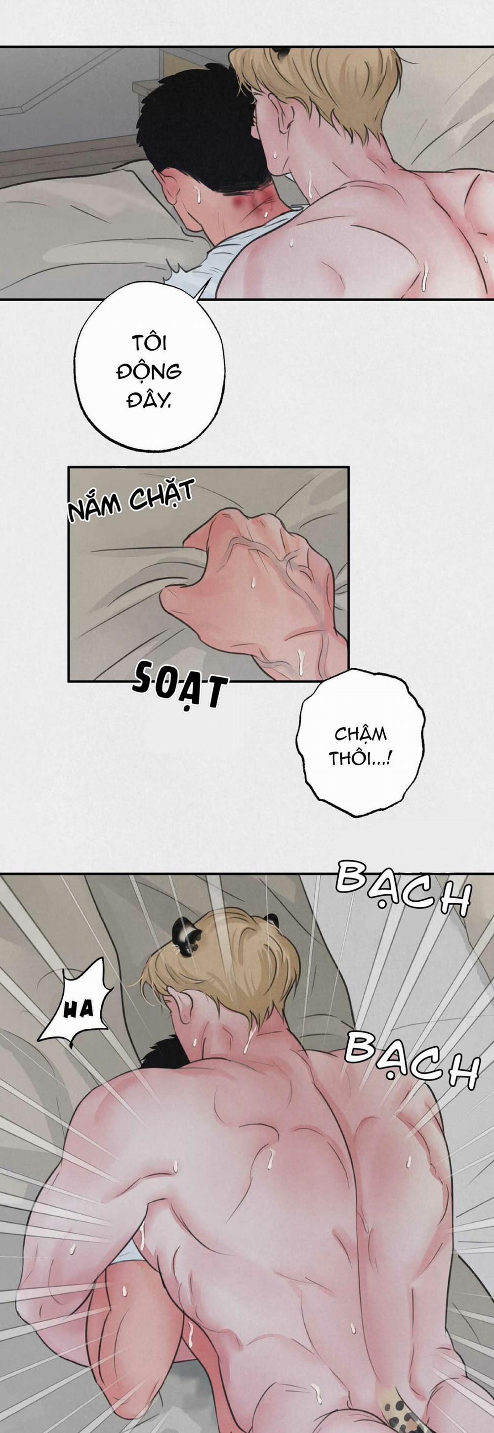 Trò Chơi Safari 4 trang 4