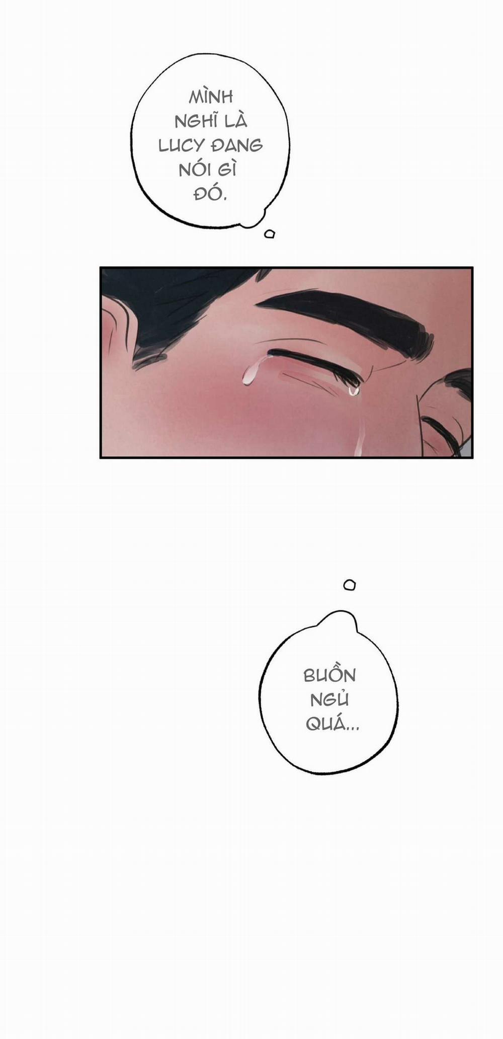 Trò Chơi Safari 4 trang 40