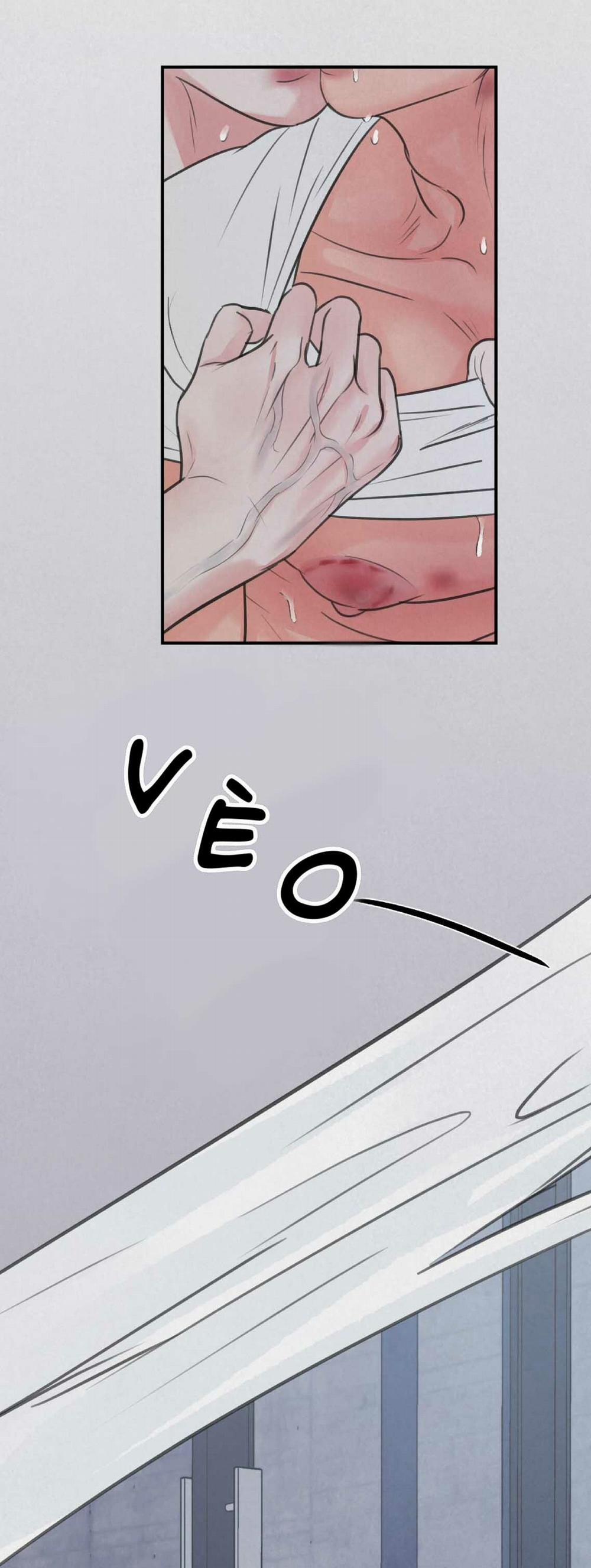 Trò Chơi Safari 4 trang 8