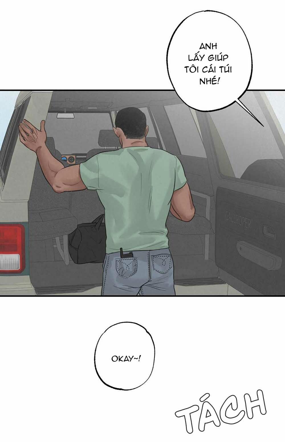 Trò Chơi Safari 5 trang 0