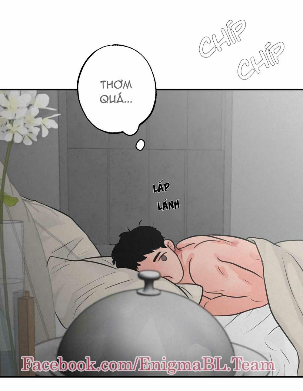 Trò Chơi Safari 5 trang 11