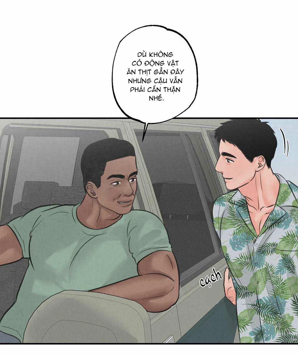 Trò Chơi Safari 5 trang 24