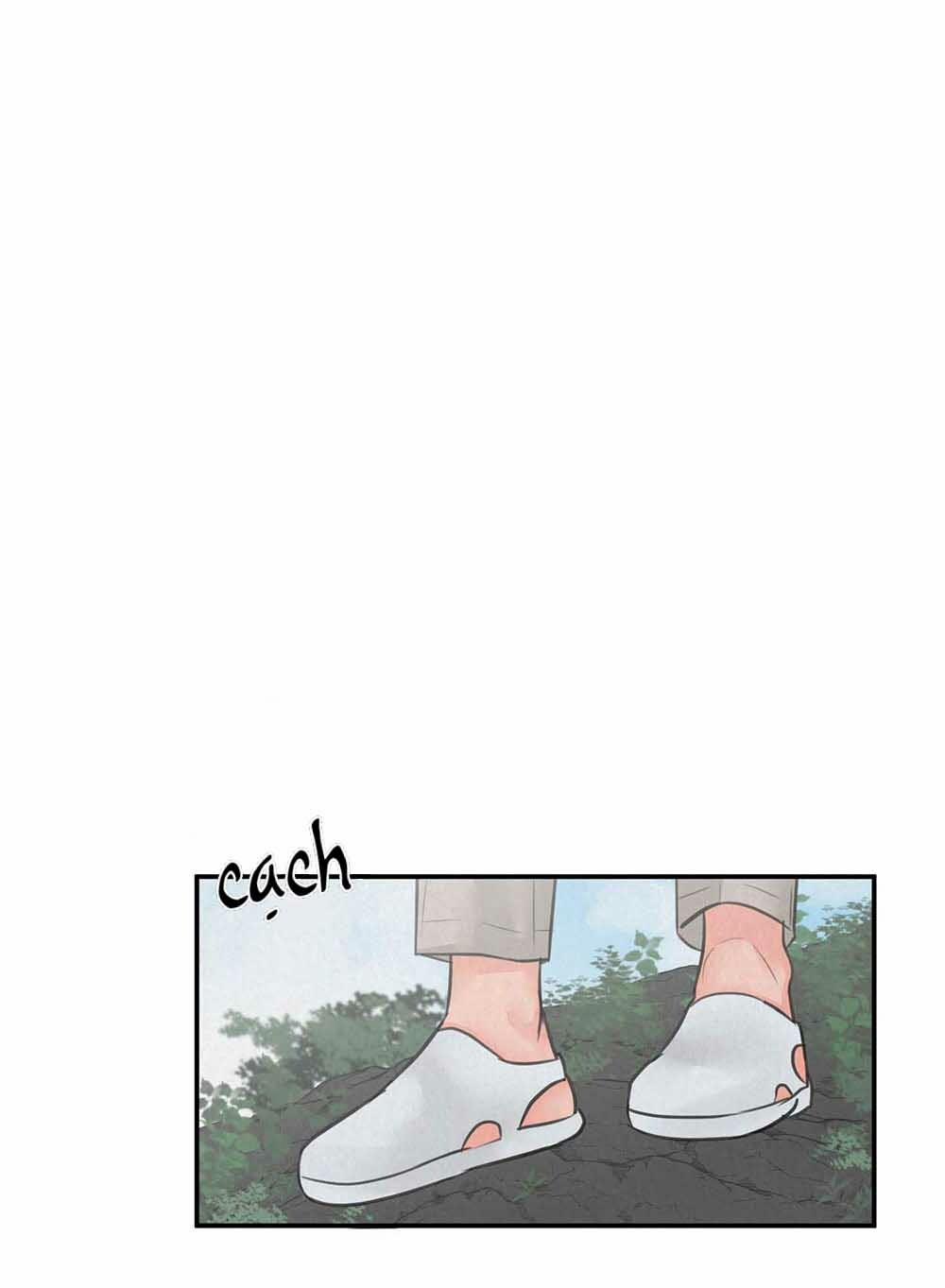 Trò Chơi Safari 5 trang 29