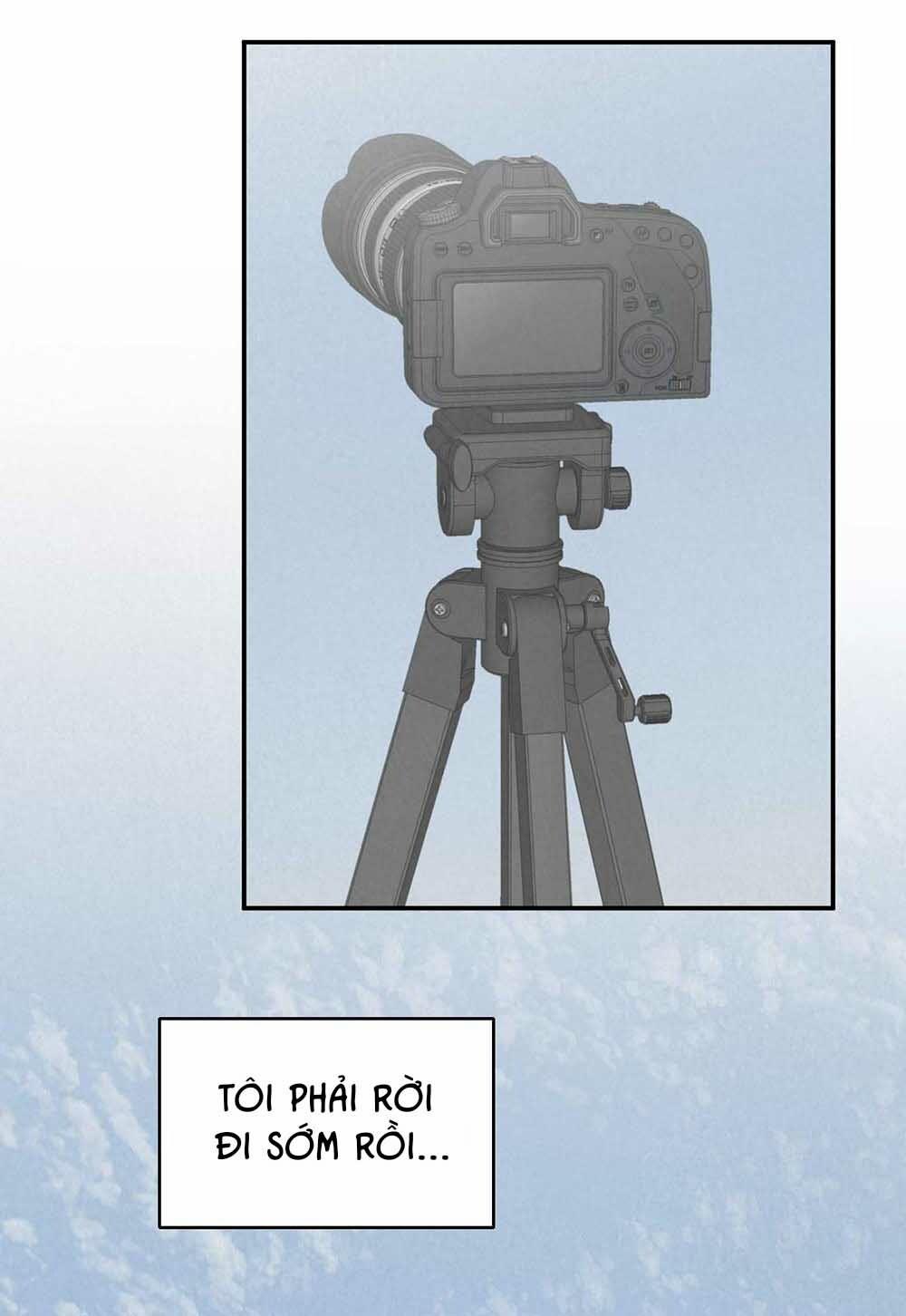 Trò Chơi Safari 5 trang 31