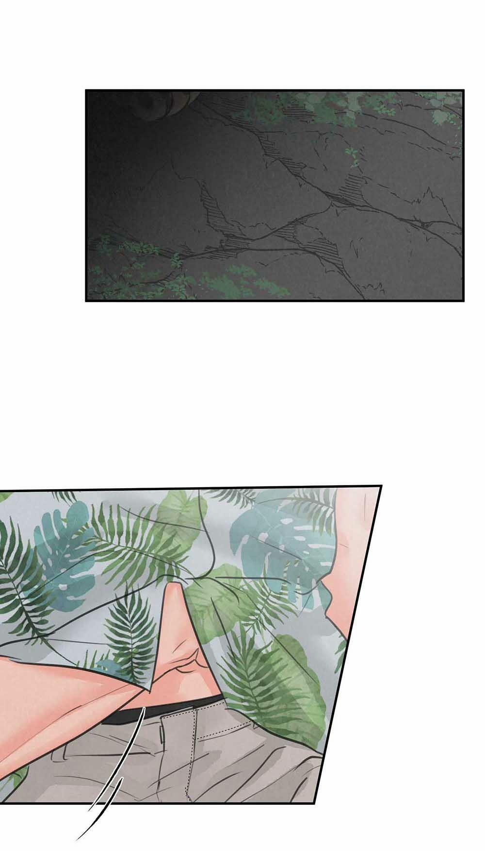 Trò Chơi Safari 5 trang 35