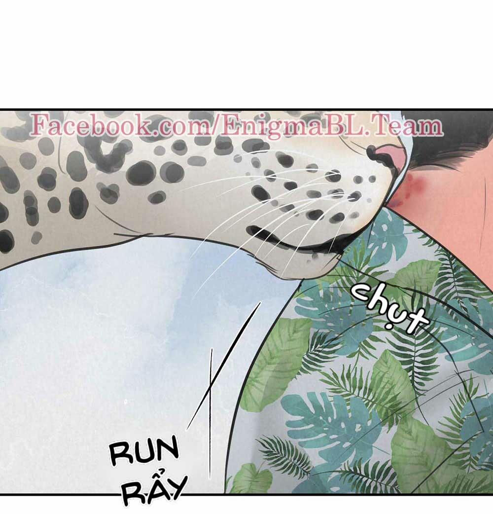 Trò Chơi Safari 5 trang 38