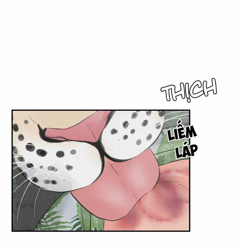 Trò Chơi Safari 5 trang 39